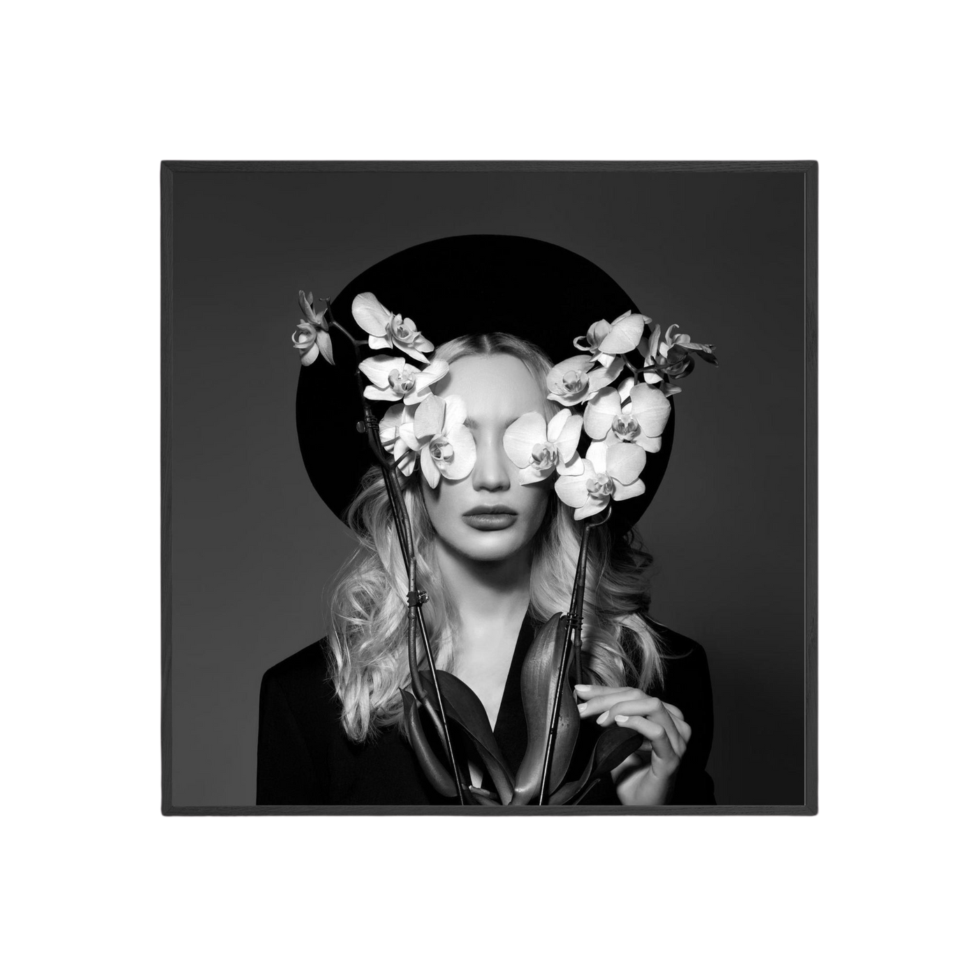 Orchid Elegance - Black & White