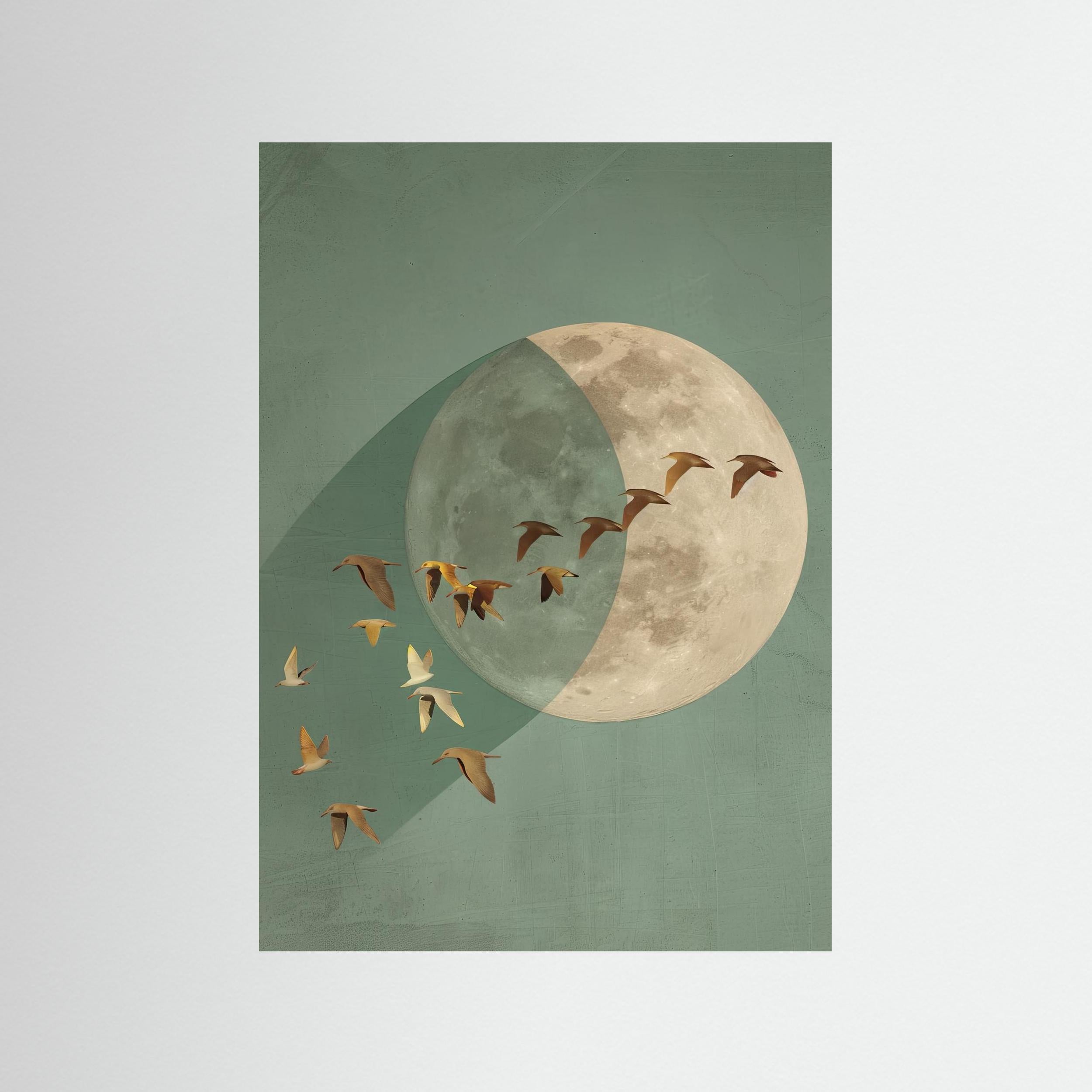 Moonflight: Teal Eclipse