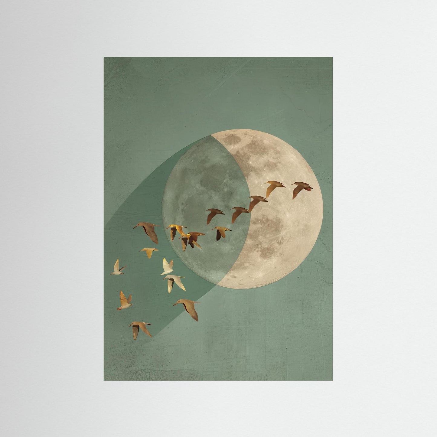 Moonflight: Teal Eclipse