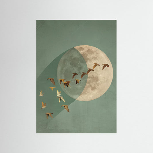 Moonflight: Teal Eclipse