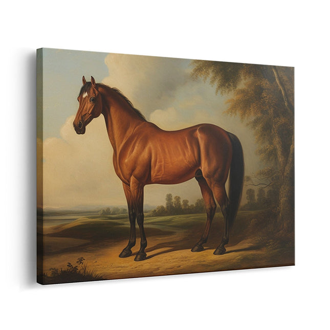 Majestic Chestnut Horse Portrait Canvas