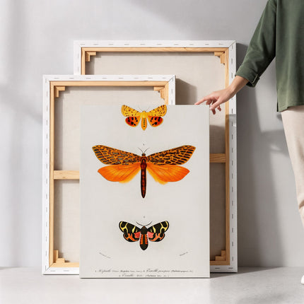 Fluttering Butterflies Duo Botanical Canvas