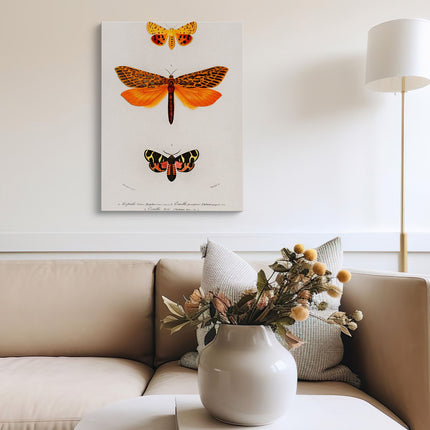 Fluttering Butterflies Duo Botanical Canvas