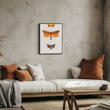 Fluttering Butterflies Duo Botanical Canvas