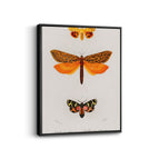 20 x 30 cm / 8 x 12″ / Black