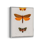 20 x 30 cm / 8 x 12″ / White