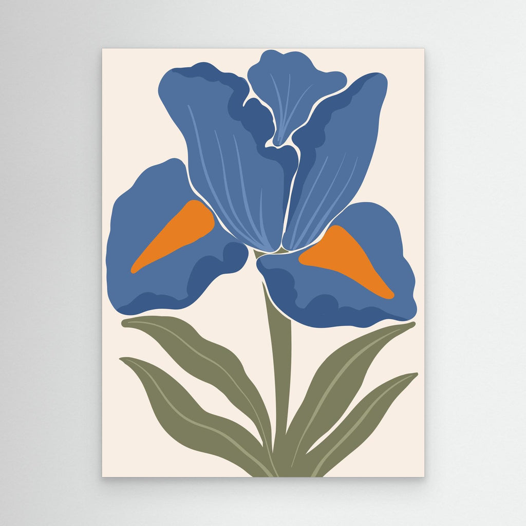 Blue Iris Delight