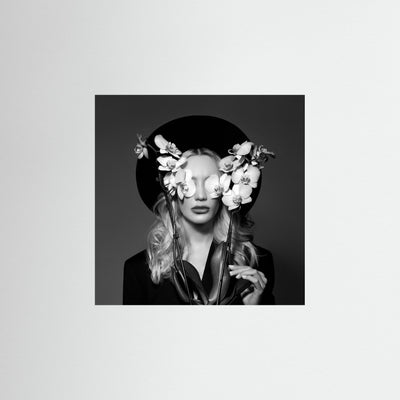 Orchid Elegance - Black & White