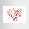Coral Branch – Minimalist Coastal Botanical Print