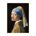 Girl with a Pearl Earring parody with a clothes peg on her nose.