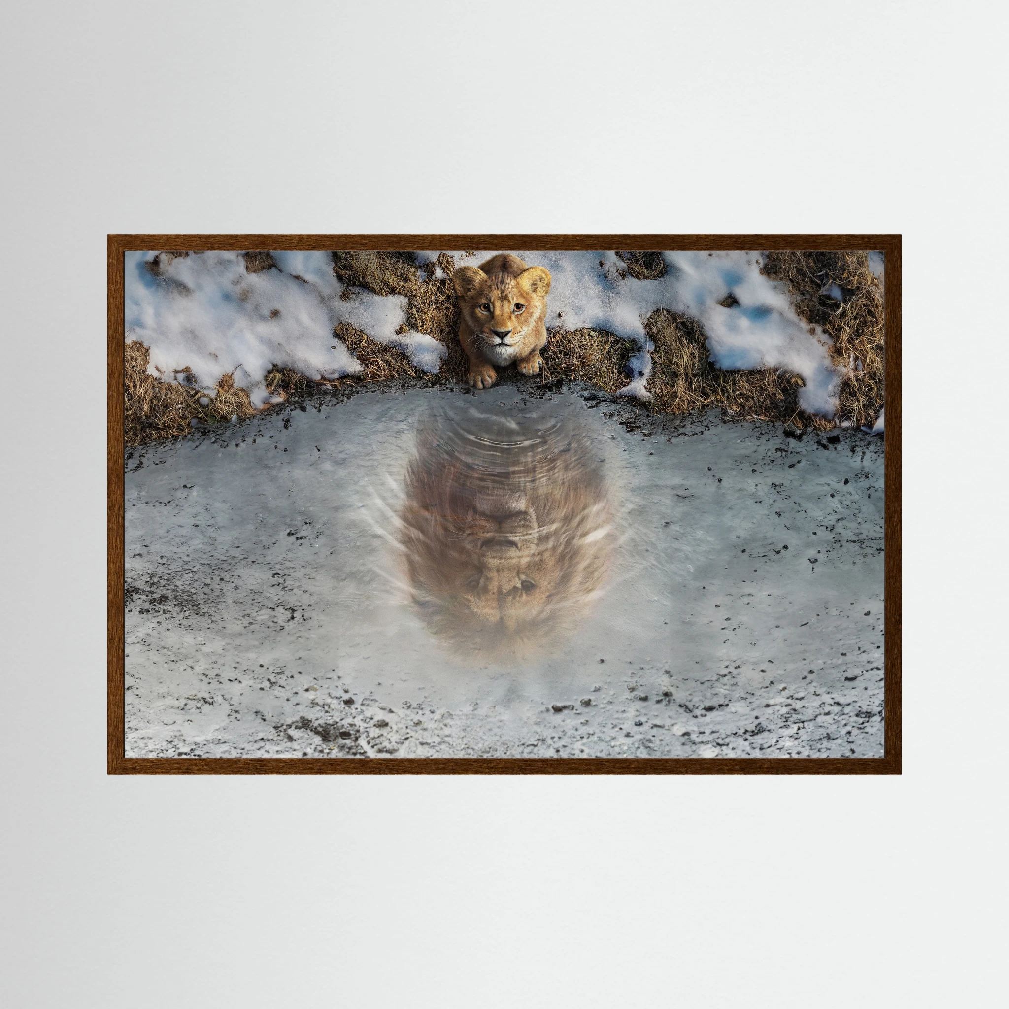 Lion cub looks into an icy pool where its reflection appears as a fully grown lion.