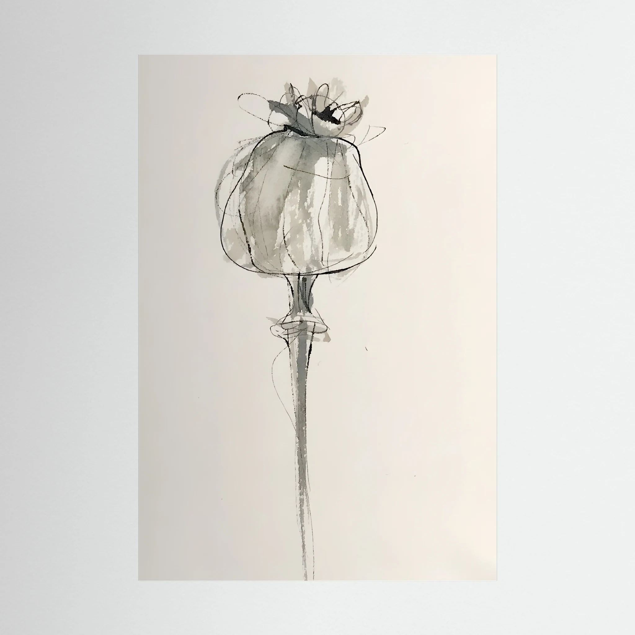 Delicate grey and black ink drawing of a poppy seed head on a warm cream background.
