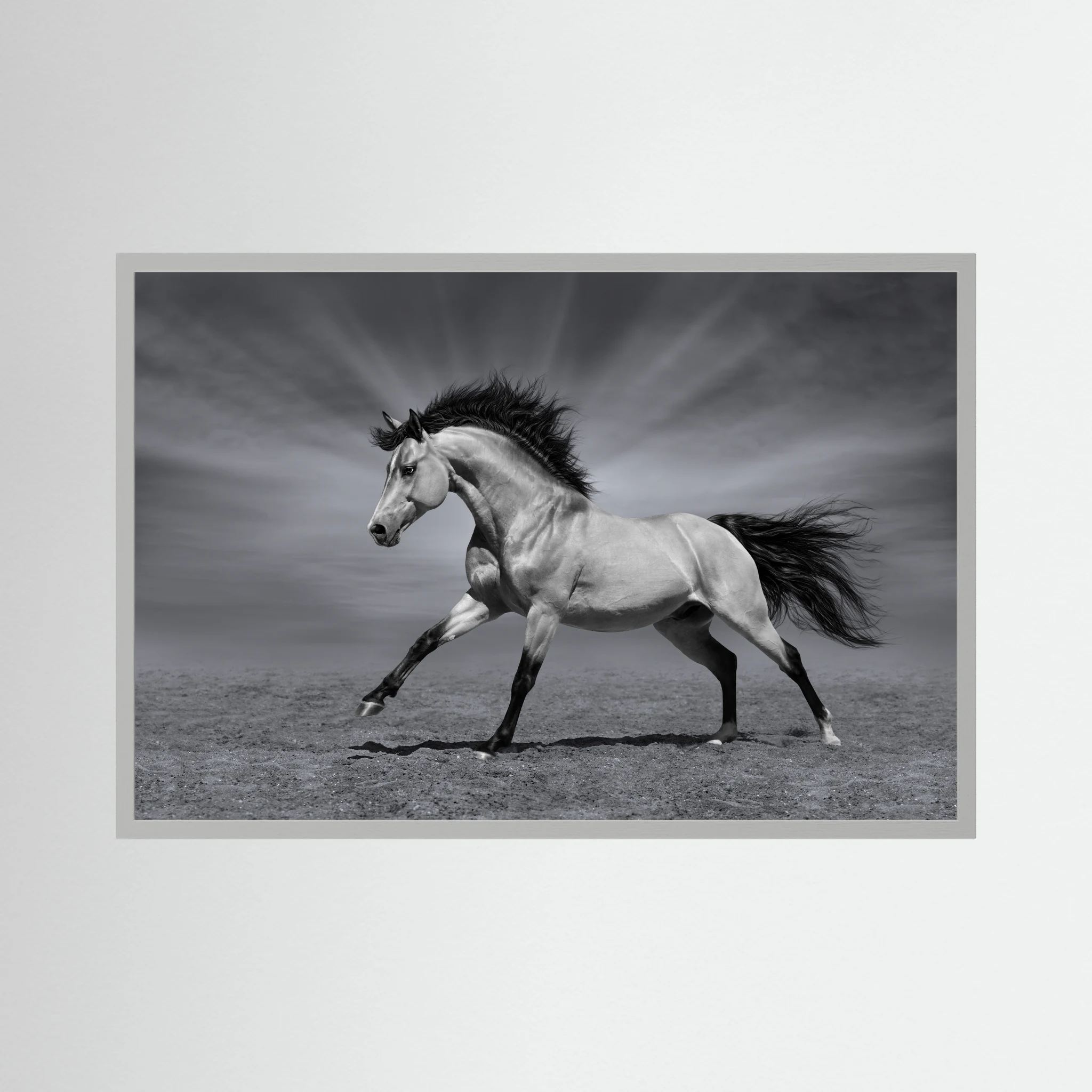 Black and white horse running across an open landscape.