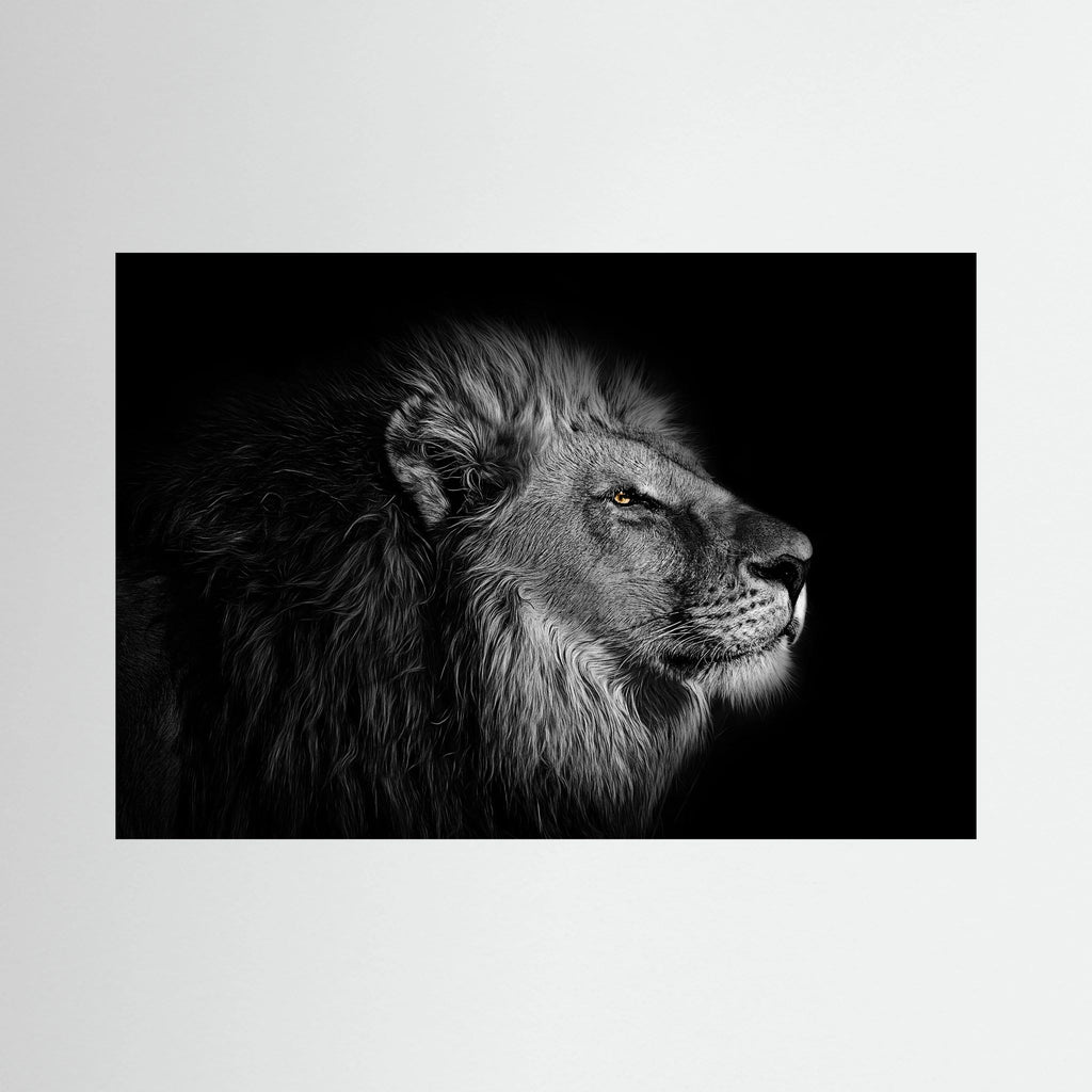 Detailed black and white lion profile emerges from a dark background with one warm golden eye.