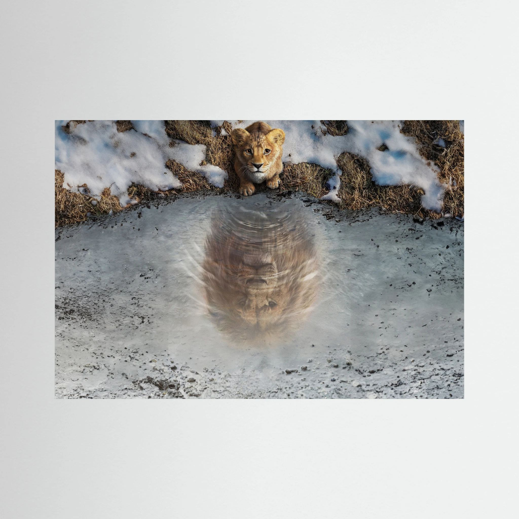 Lion cub looks into an icy pool where its reflection appears as a fully grown lion, shown in product view 2.