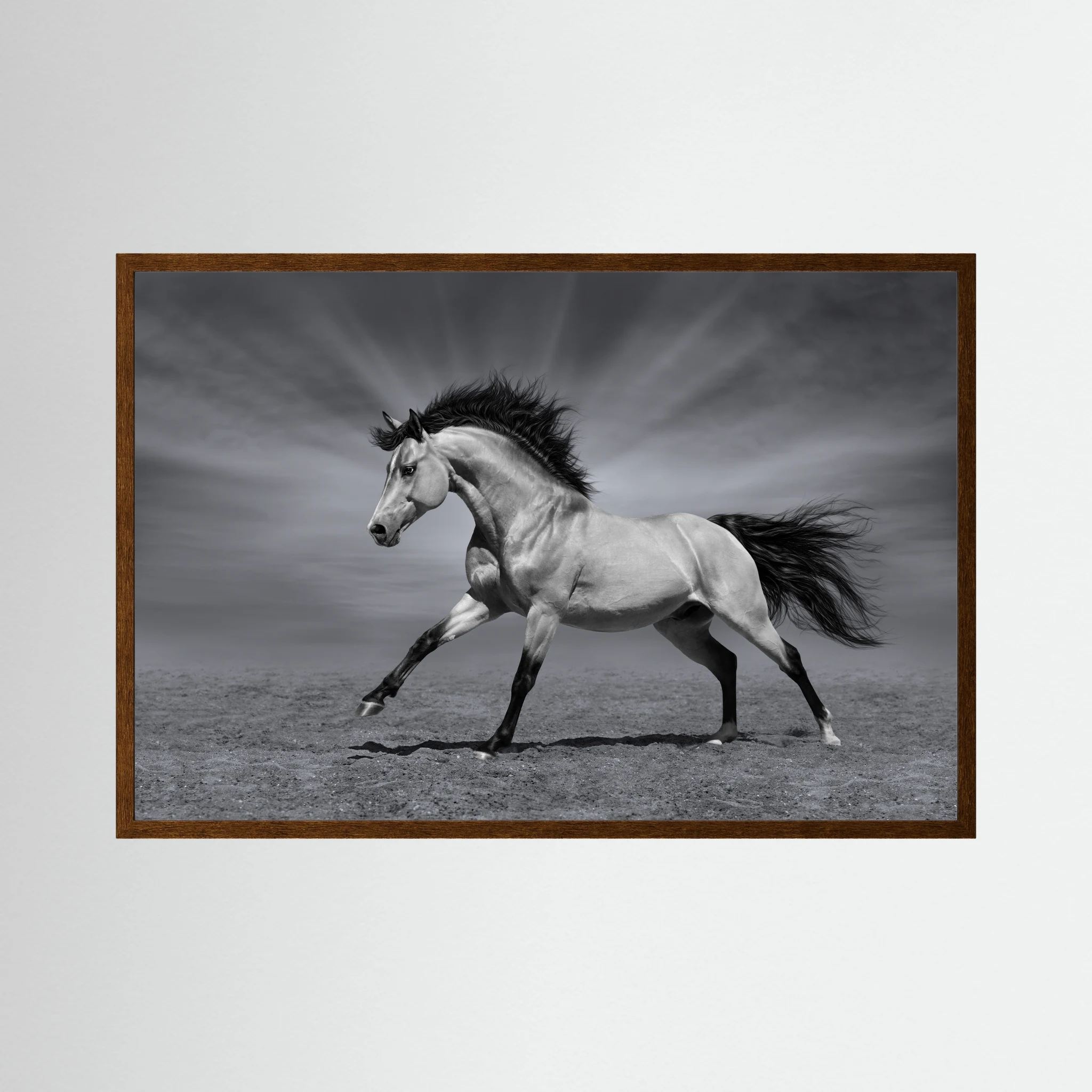 Black and white horse running across an open landscape.