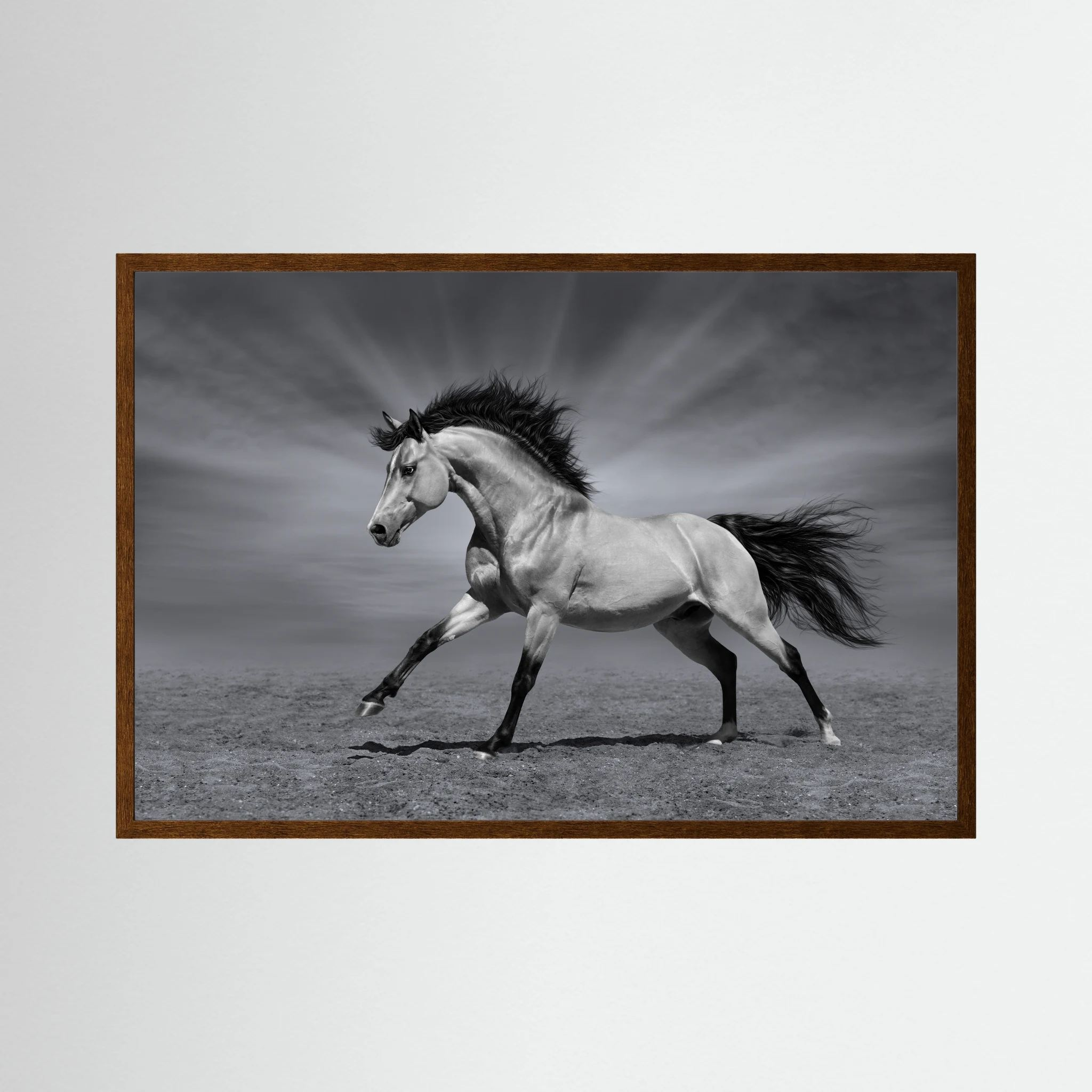 Black and white horse running across an open landscape.