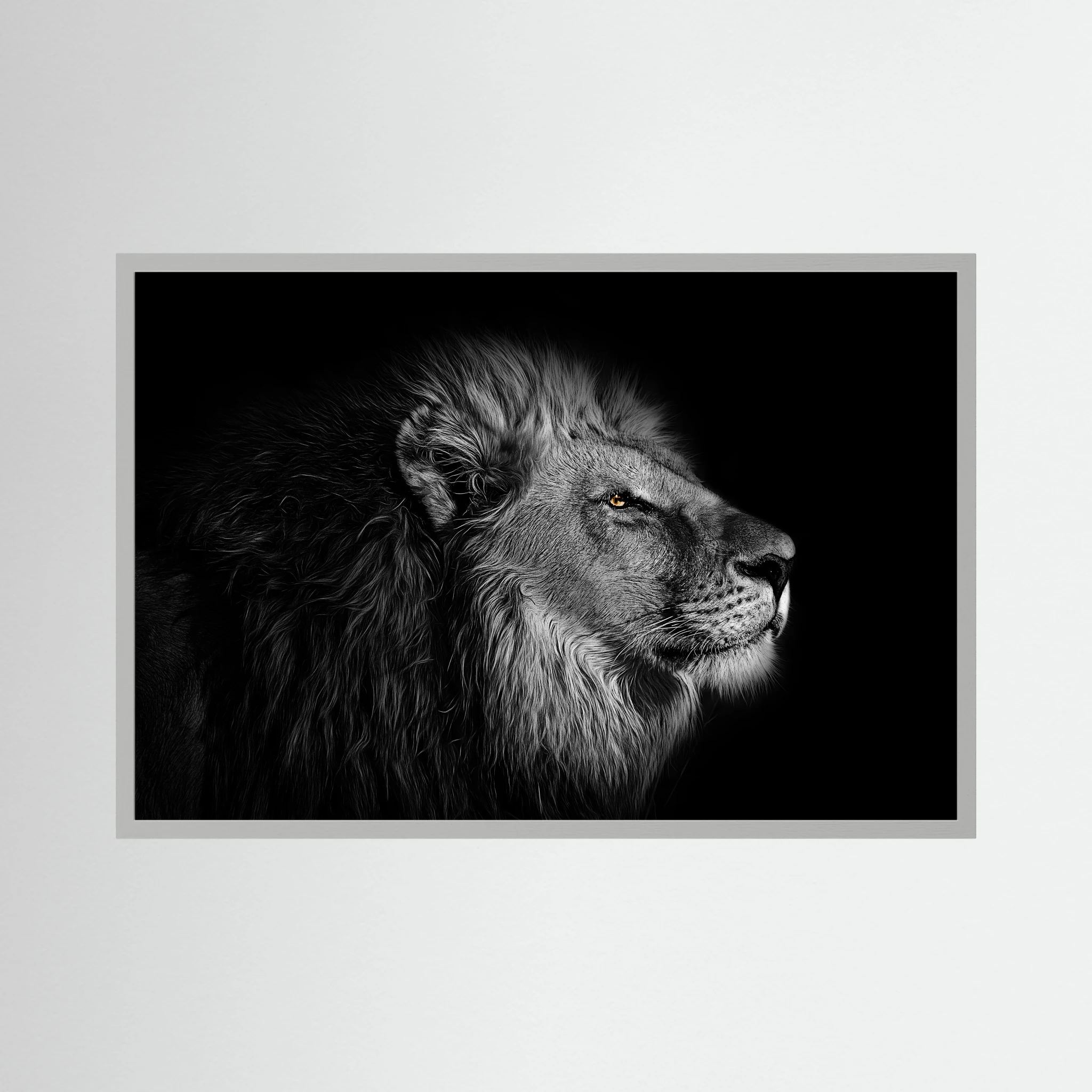 Detailed black and white lion profile emerges from a dark background with one warm golden eye, shown in product view 4.