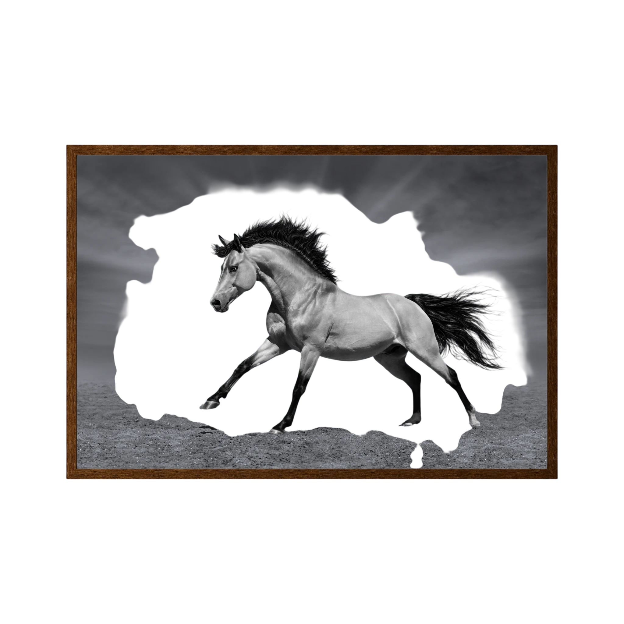 Black and white horse running across an open landscape.