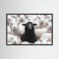 Single black sheep stands centred among a tightly packed flock of white sheep, shown in product view 4.