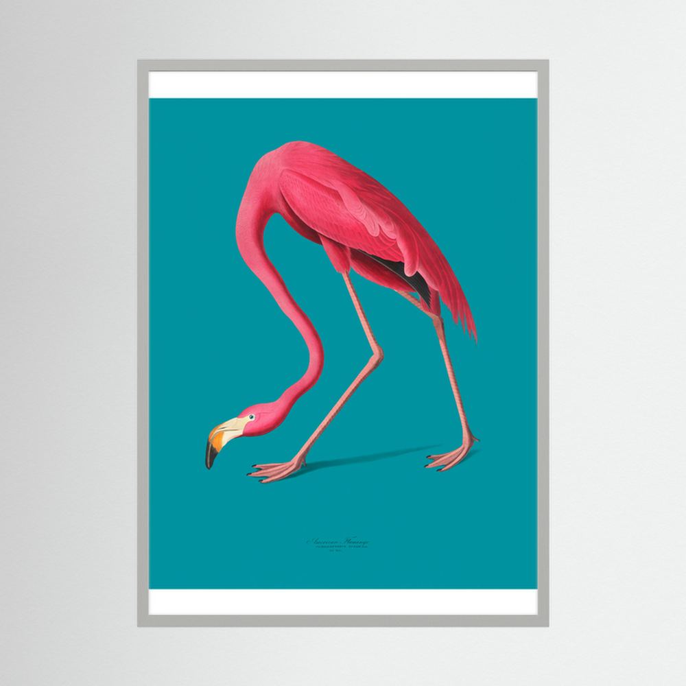 Teal Flamingo pink flamingo art print, product view 5.