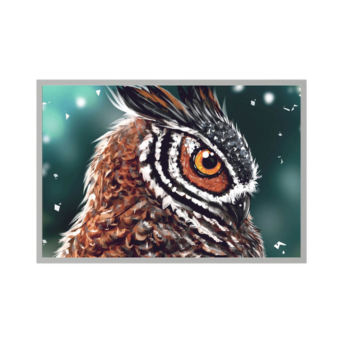 Close-up owl portrait with a bright amber eye and layered brown feathers.