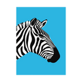 Black-and-white zebra profile on bright blue background.