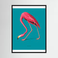 Teal Flamingo pink flamingo art print, product view 3.