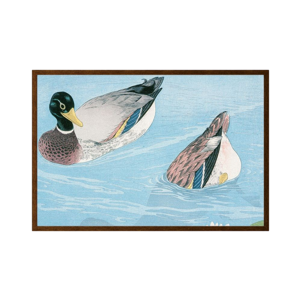 Dabbling Pair – Vintage Duck Illustration Print
