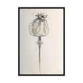Delicate grey and black ink drawing of a poppy seed head on a warm cream background, shown in product view 3.