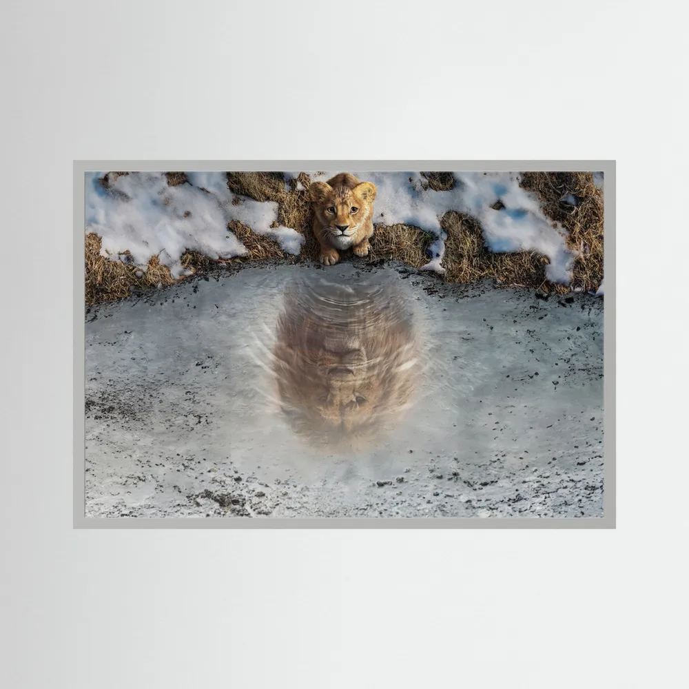 Lion cub looks into an icy pool where its reflection appears as a fully grown lion, shown in product view 3.
