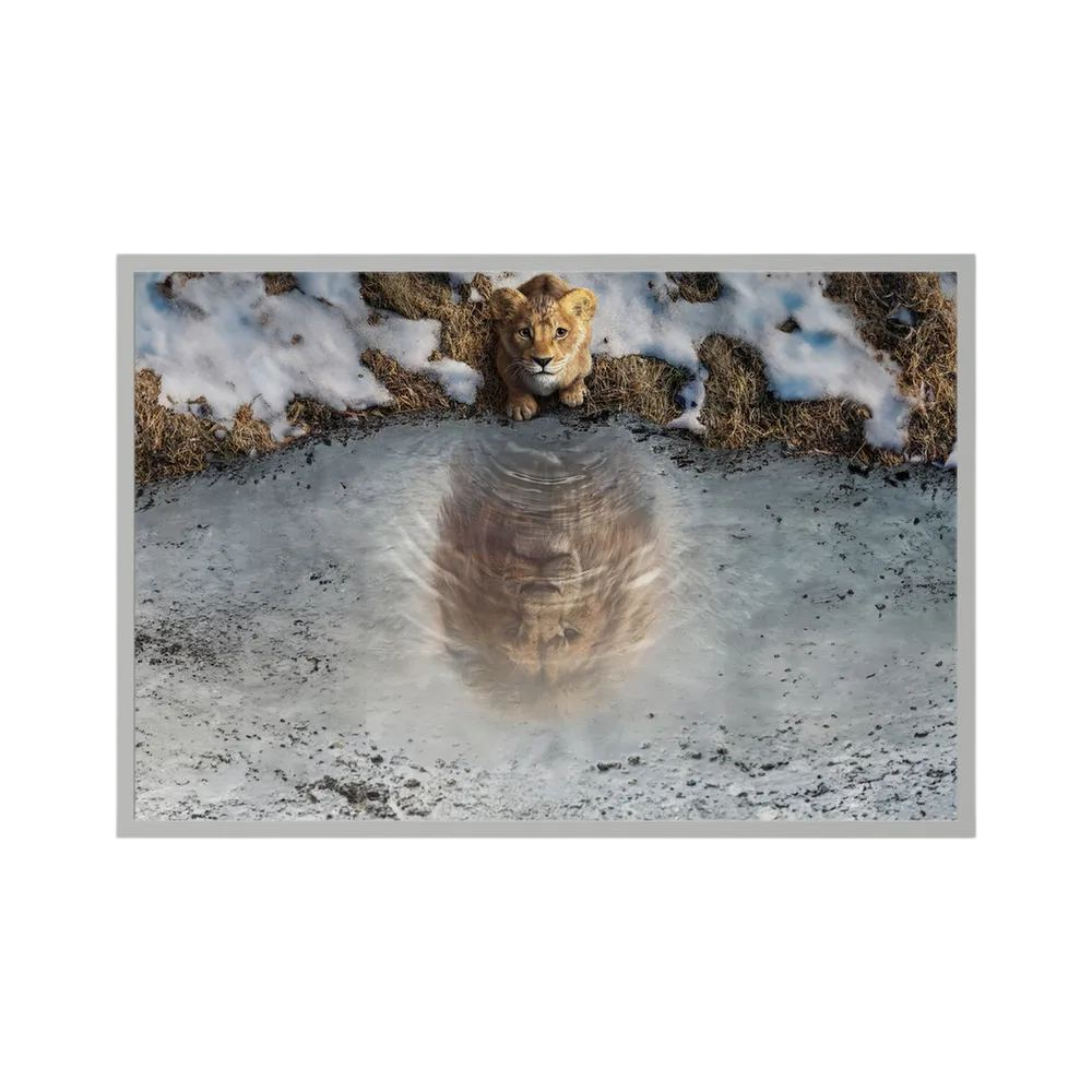 Lion cub looks into an icy pool where its reflection appears as a fully grown lion, shown in product view 3.