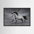 Black and white horse running across an open landscape.