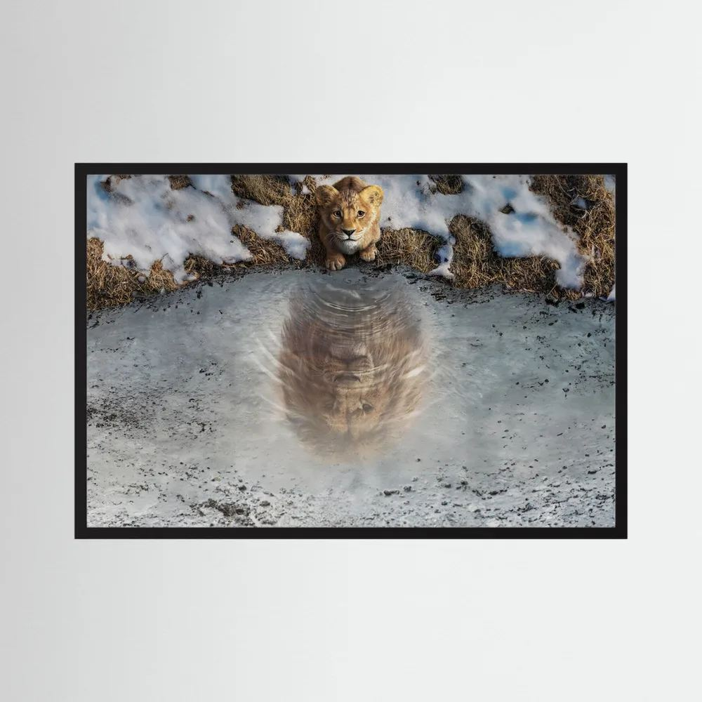 Lion cub looks into an icy pool where its reflection appears as a fully grown lion, shown in product view 4.