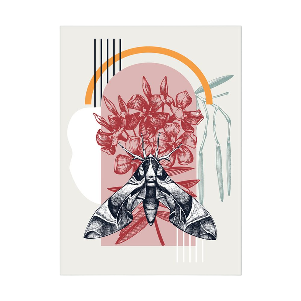 Graphic moth with red flowers and geometric arches.