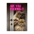 Four fluffy cats peering through a door under pink neon text.