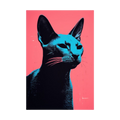 Black and cyan cat portrait on coral-pink background.