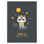 Raccoon Big Dream
