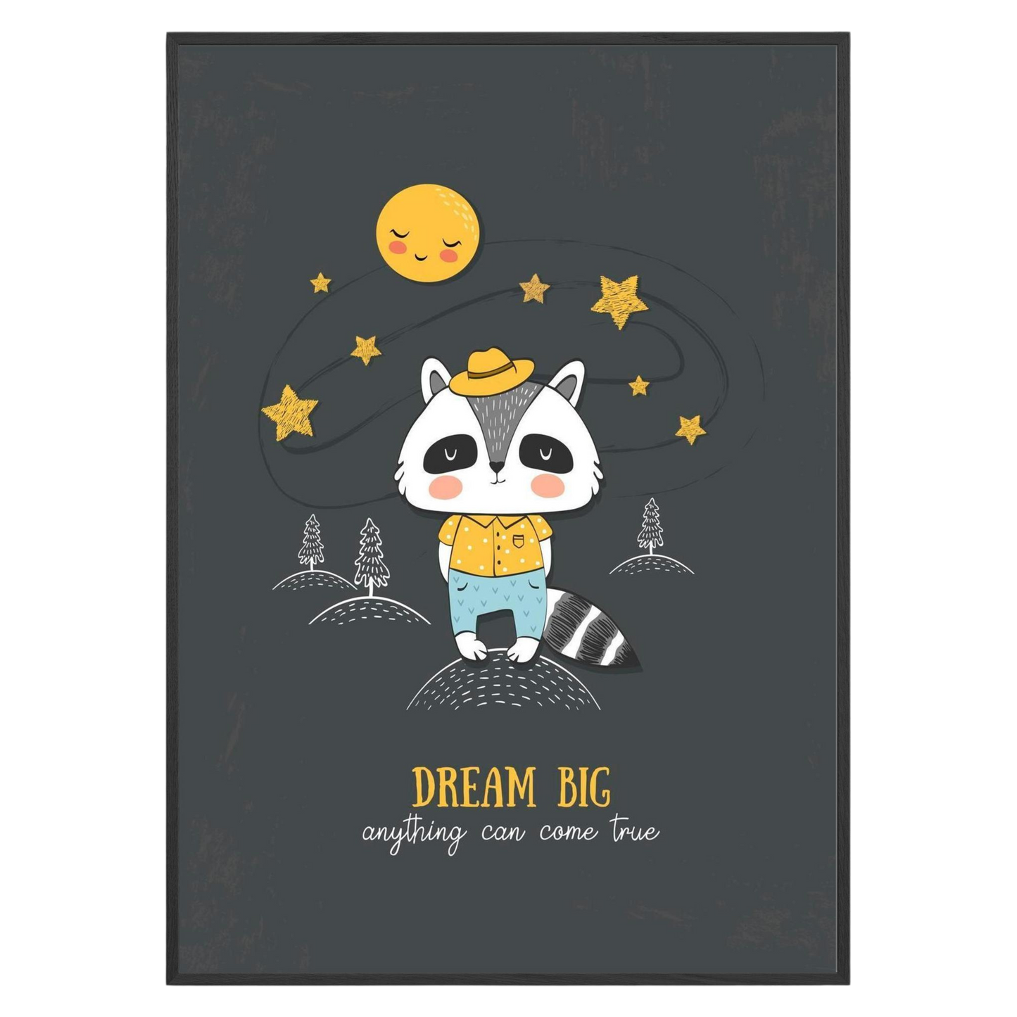 Raccoon Big Dream