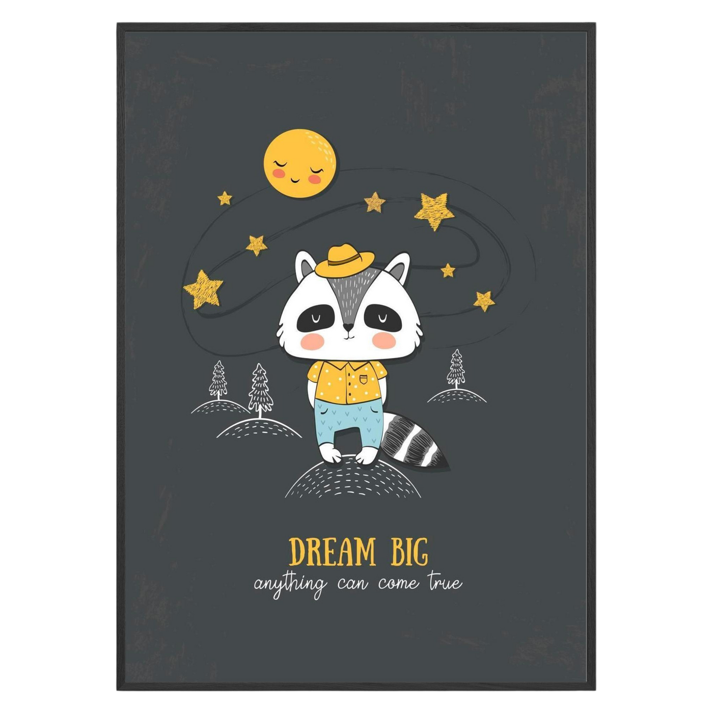 Raccoon Big Dream