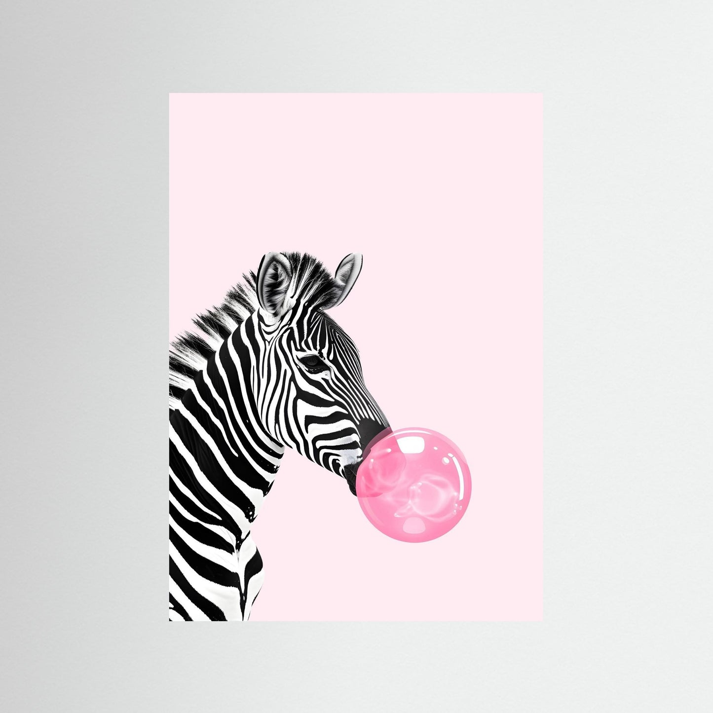 The Bubblegum Zebra